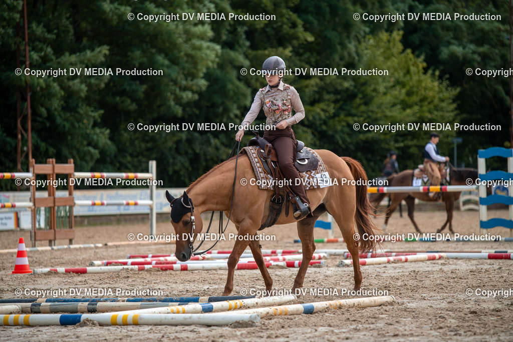 ZS3_9297 | dv-media-shop - Realisiert mit Pictrs.com