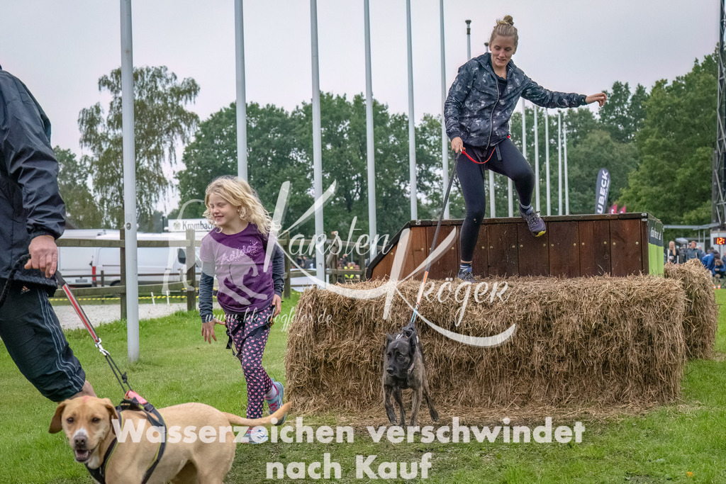 1211--14 | kk-dogfotos