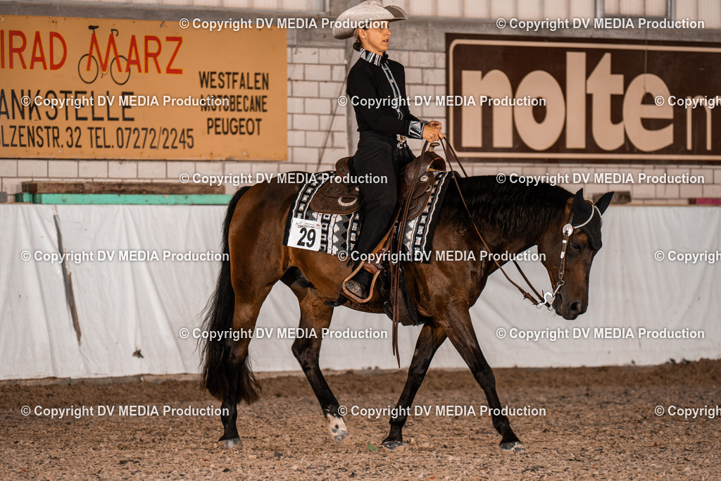 ZH300004 | dv-media-shop - Realisiert mit Pictrs.com