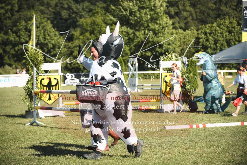 DSC_7860 | Pferde- und Turnierfotografie in Westsachsen. Pferdeportraits, Auftragszeichnungen und intuitive Kunst.