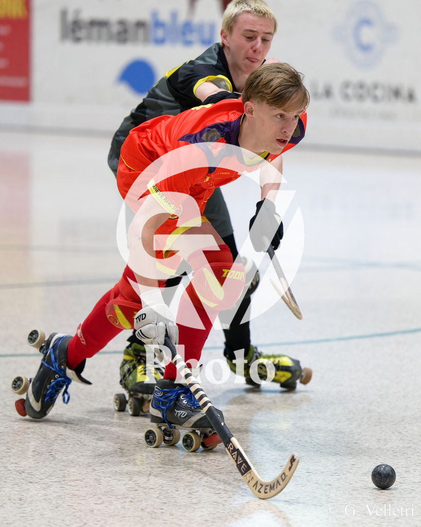 DSC_2888 | Velletri Photo