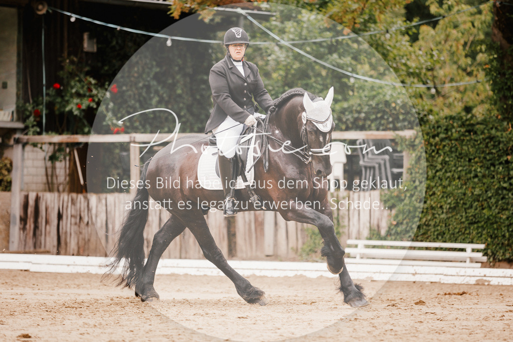 3I6A7771 | Stimmungsvolle Portraits und Reitsportfotografie im Ruhrgebiet und im Münsterland.

Pferdefotografie, Hundefotografie, Tierfotografie, Reportagen, Portraits von Tier und Mensch, Turnierfotografie in Bochum, Recklinghausen, Marl, Haltern am See, Dülmen.. - Realisiert mit Pictrs.com