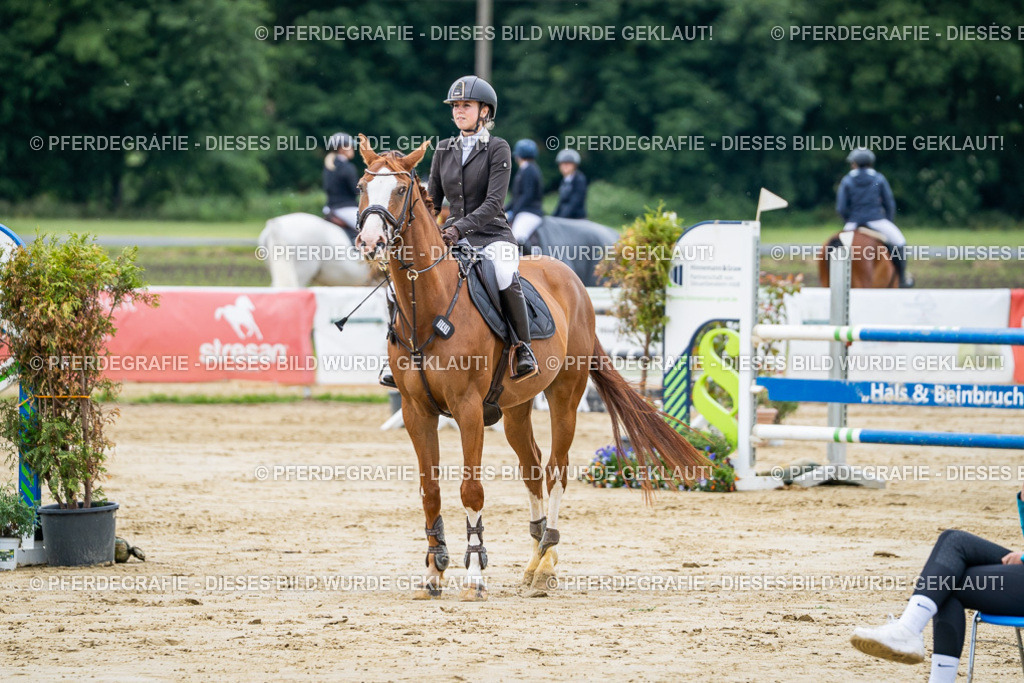 DSC04456 | Pferdegrafie