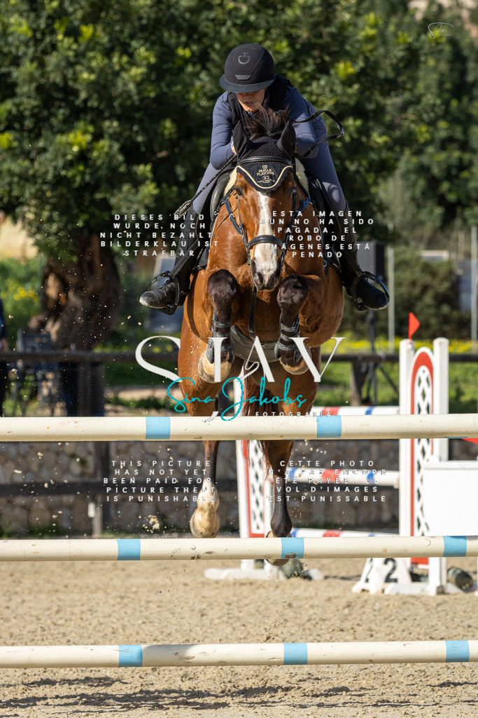 IMG_6909 | s-jay-photography - Realisiert mit Pictrs.com