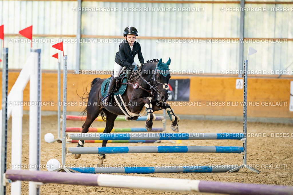 DSC00987 | Pferdegrafie