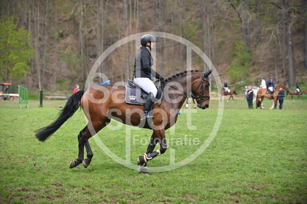 DSC_1631 | sattelsport - Realisiert mit Pictrs.com