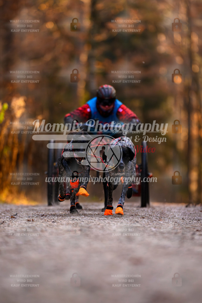 MompixPhotography_DM_AKDM_SO_2025_Wagen-33 | PayLife