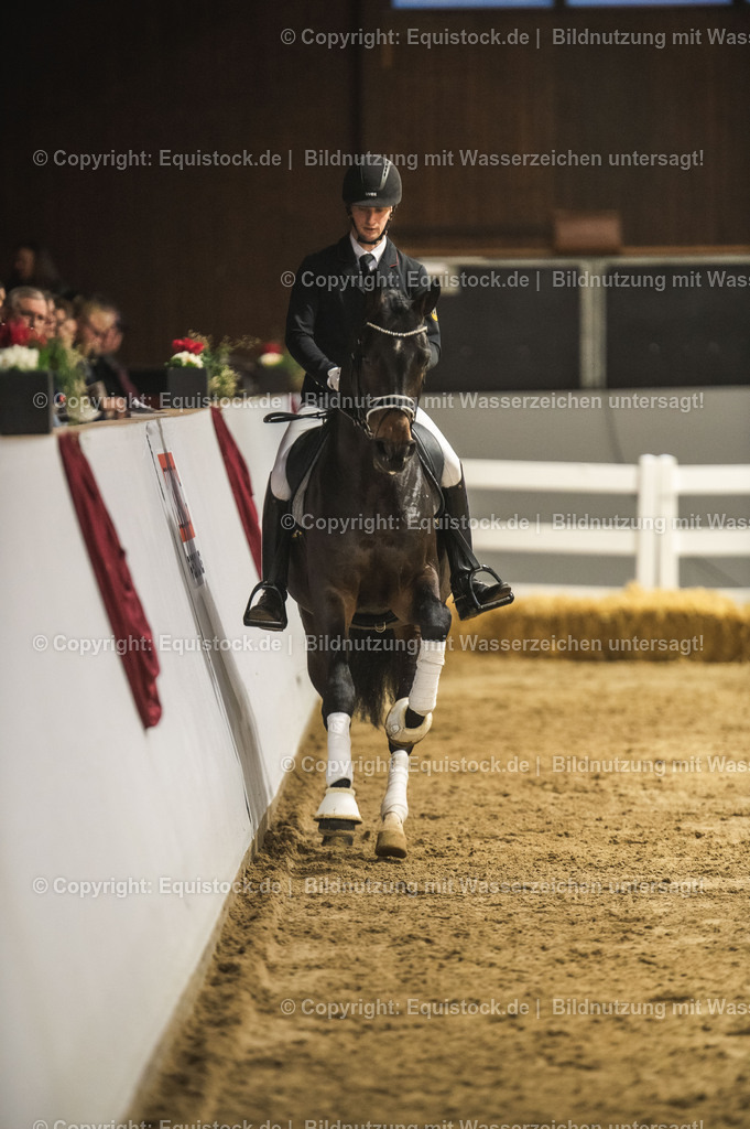 20240302_Hengstvorstellung_Marbach_TOMsPiC_0408 | equistock