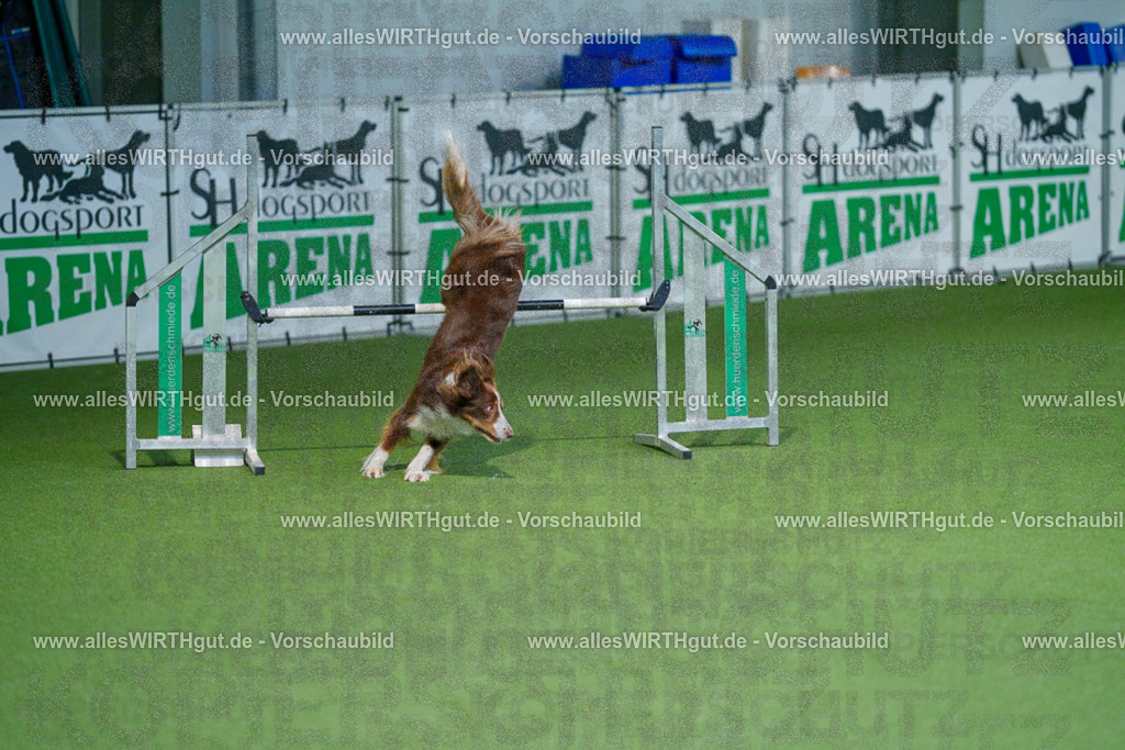 @allesWIRTHgut_Tierfotografie - www.allesWIRTHgut.de - 2604250933-7R508450 | Professionelle Tierfotografie in Mönchengladbach von Daniel Wirth (allesWIRTHgut). Liebevolle & natürliche Bilder von Hunden & Katzen für unvergessliche Erinnerungen.