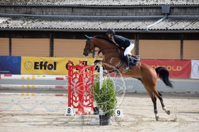 2B4A1252 | pixelfaenger - Realisiert mit Pictrs.com