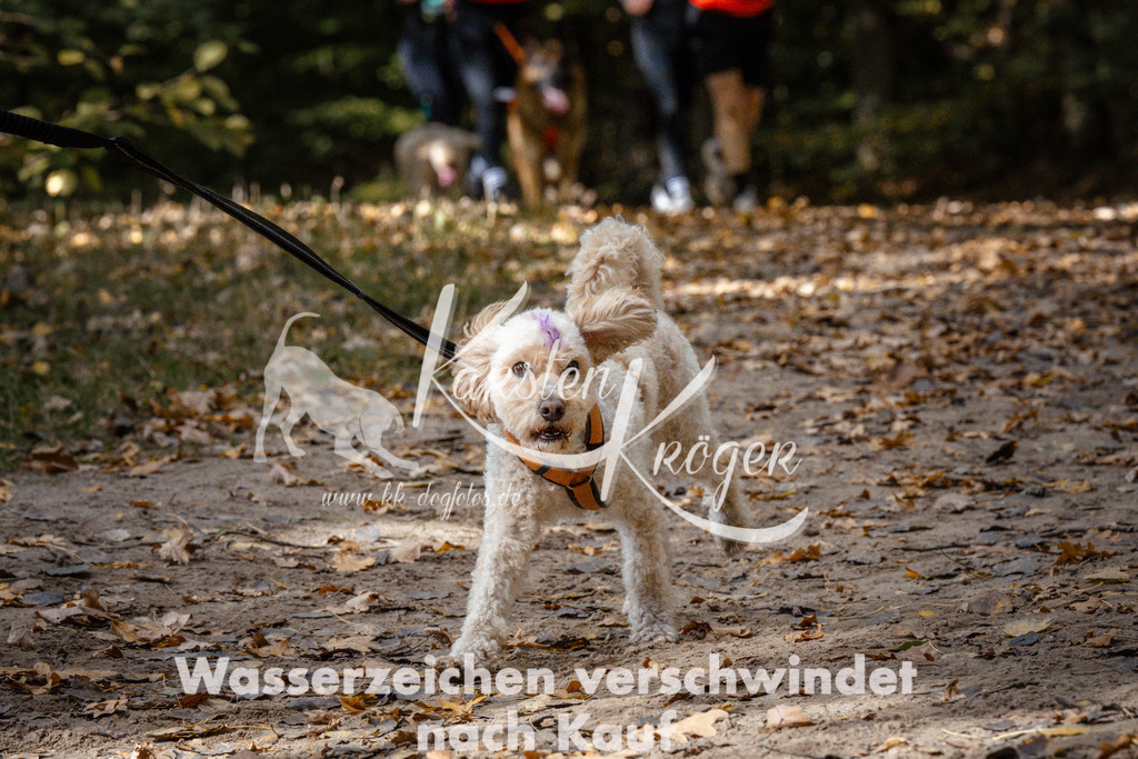 1324_ZZ98063 | kk-dogfotos