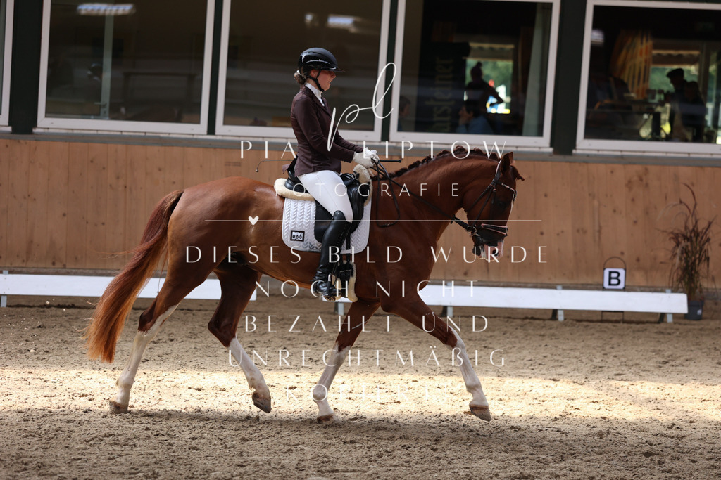 IMGM8644 | pl-fotografie