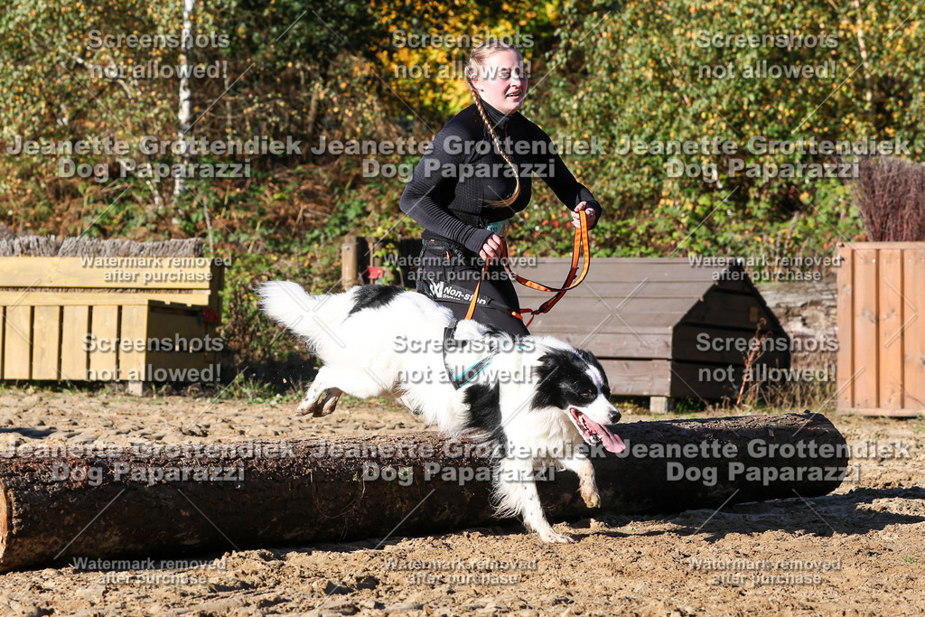 Dog Paparazzi - Strongdog 10-25-1771 | Dog Paparazzi Jeanette Grottendiek Fotografie & Videografie - Realisiert mit Pictrs.com