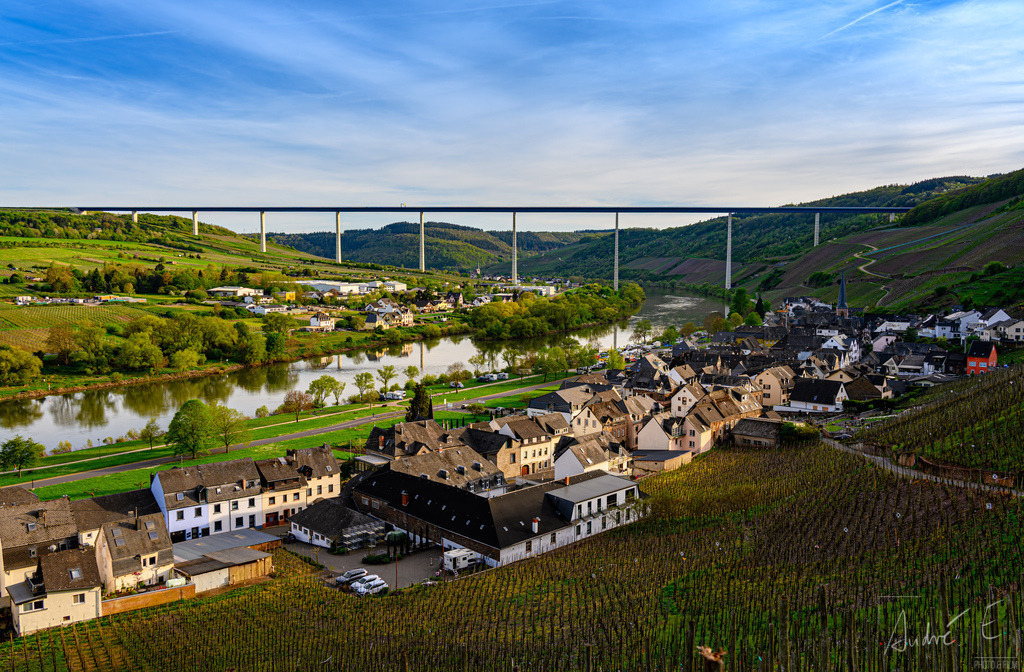 Ürzig und Zeltingen-Rachtig mit der Hochmoselbrücke im Frühling | Online Foto-Shop von André Engelhardt, Filmemacher und Fotograf. Fine Art Prints, Kunstdrucke, Fotogeschenke, Souvenirs von Mosel, Rhein und mehr. 
