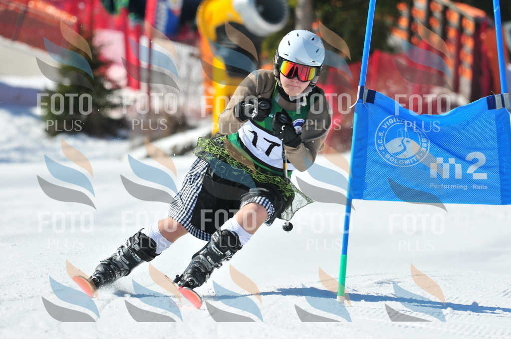 C4255 | holidayphoto