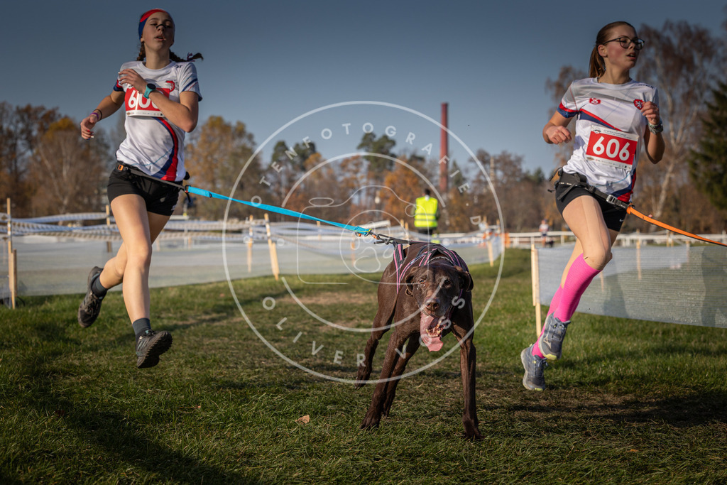 CaniXpix_0L8A0013 | Hundefotografie, Tierfotograf, Pfotenfotografie, Fotoshooting Hund, Hunde Portrait, Hundesport, Hundeportraits, Heideshooting, Hunde, Sportfotograf, Hundefotograf, Turnierhundsport, THS,  - Realisiert mit Pictrs.com