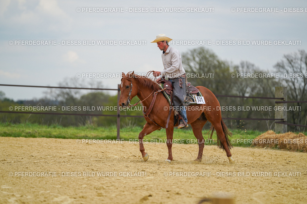 DSC07135 | Pferdegrafie