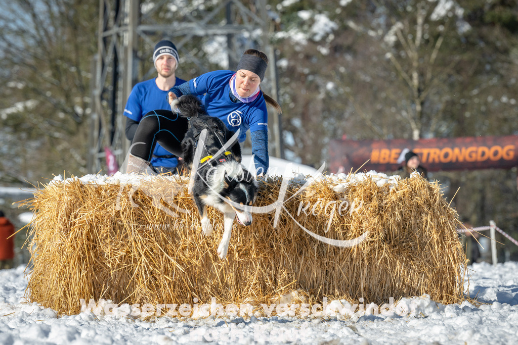 1105_ZZ94897-2 | kk-dogfotos
