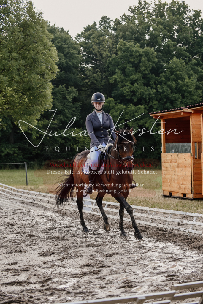 DSC_8303 | Pferde- und Turnierfotografie in Westsachsen. Pferdeportraits, Auftragszeichnungen und intuitive Kunst.