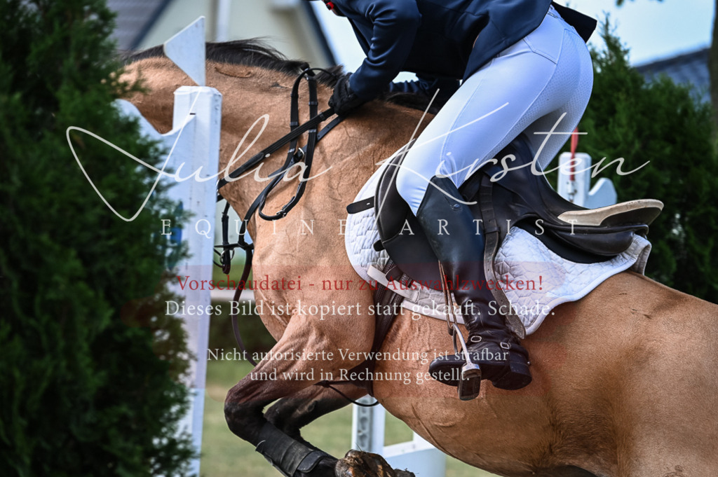 DSC_8041 | Pferde- und Turnierfotografie in Westsachsen. Pferdeportraits, Auftragszeichnungen und intuitive Kunst.