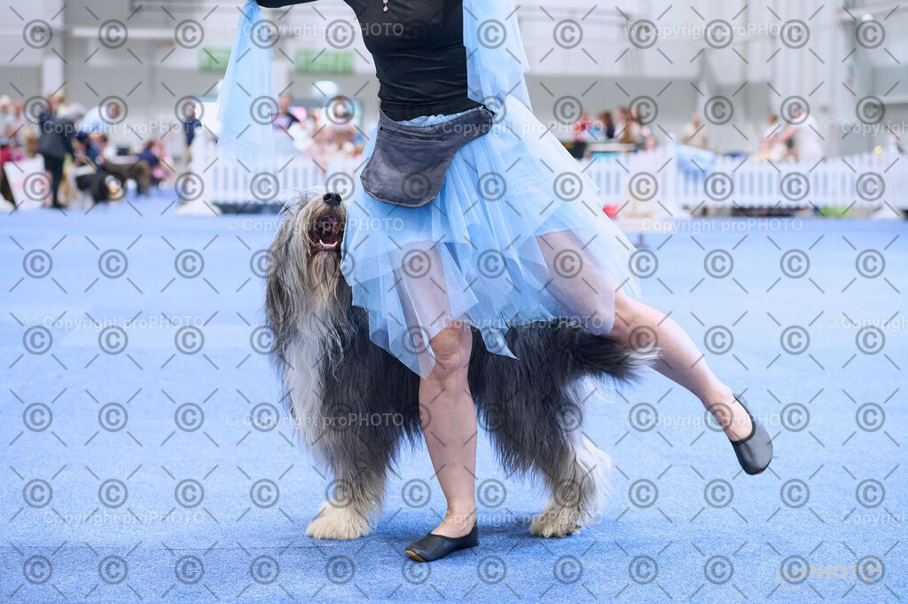 202406_ÖKV-IHA-Tulln24_DSC_5277 | proPHOTO - Realisiert mit Pictrs.com