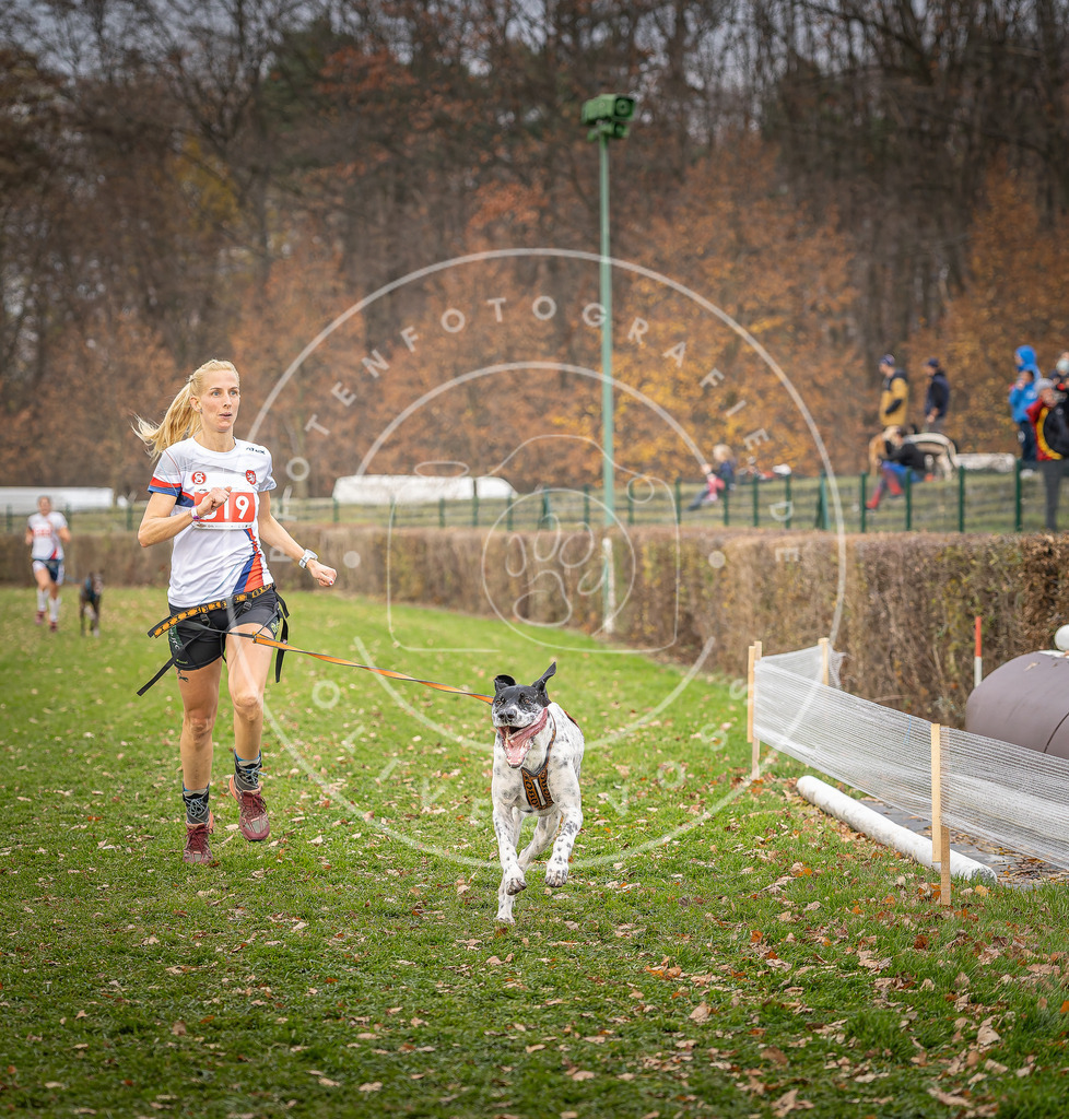 CaniXpix_DV3A6258 | Hundefotografie, Tierfotograf, Pfotenfotografie, Fotoshooting Hund, Hunde Portrait, Hundesport, Hundeportraits, Heideshooting, Hunde, Sportfotograf, Hundefotograf, Turnierhundsport, THS,  - Realisiert mit Pictrs.com
