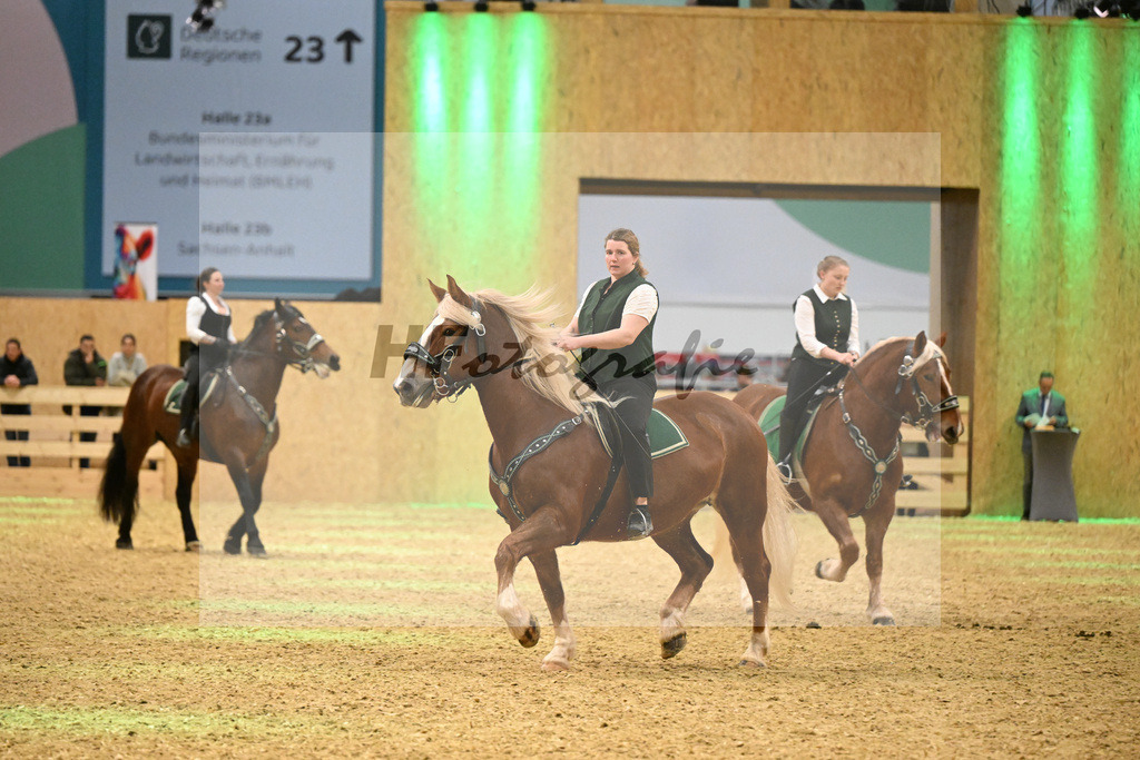 Schauprogramm_Dressurquadrille_1261081 | hf-fotografie - Realisiert mit Pictrs.com