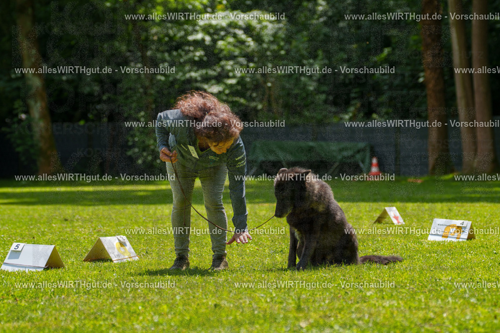 @allesWIRTHgut_Tierfotografie - www.allesWIRTHgut.de - 7R504674 | Professionelle Tierfotografie in Mönchengladbach von Daniel Wirth (allesWIRTHgut). Liebevolle & natürliche Bilder von Hunden & Katzen für unvergessliche Erinnerungen.