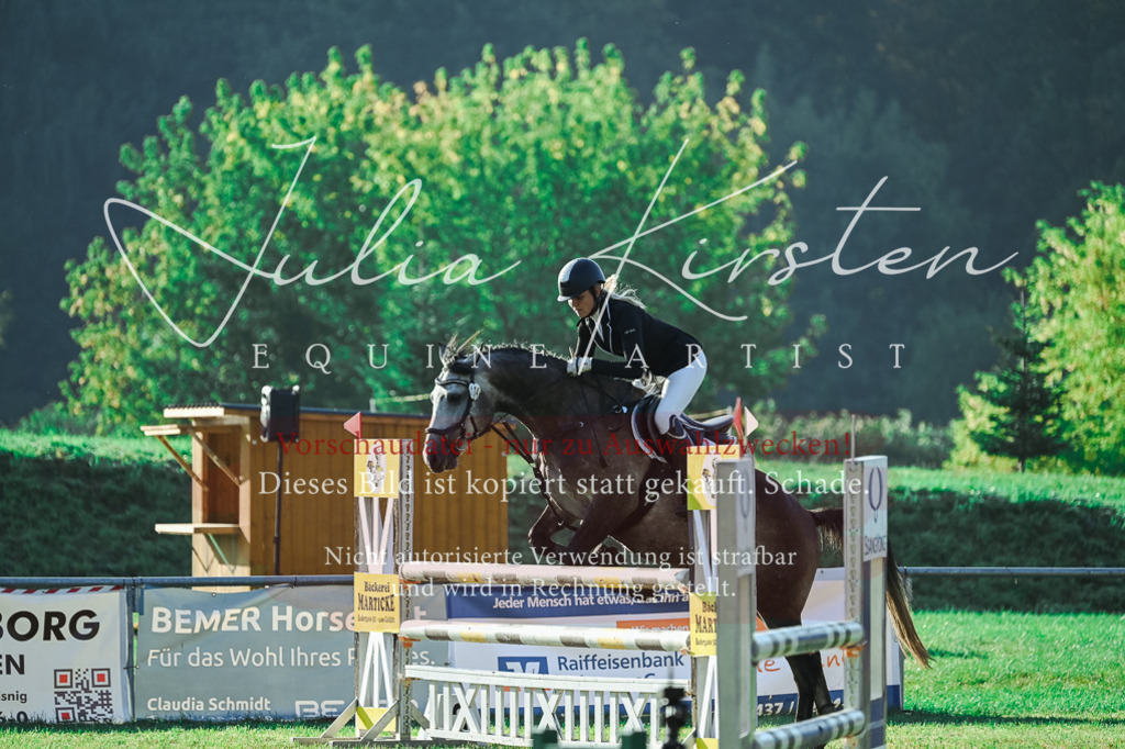DSC_4457 | Pferde- und Turnierfotografie in Westsachsen. Pferdeportraits, Auftragszeichnungen und intuitive Kunst.