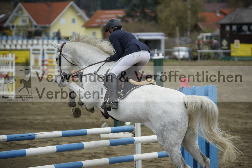 _DSC7416 | equestrian-live-com
