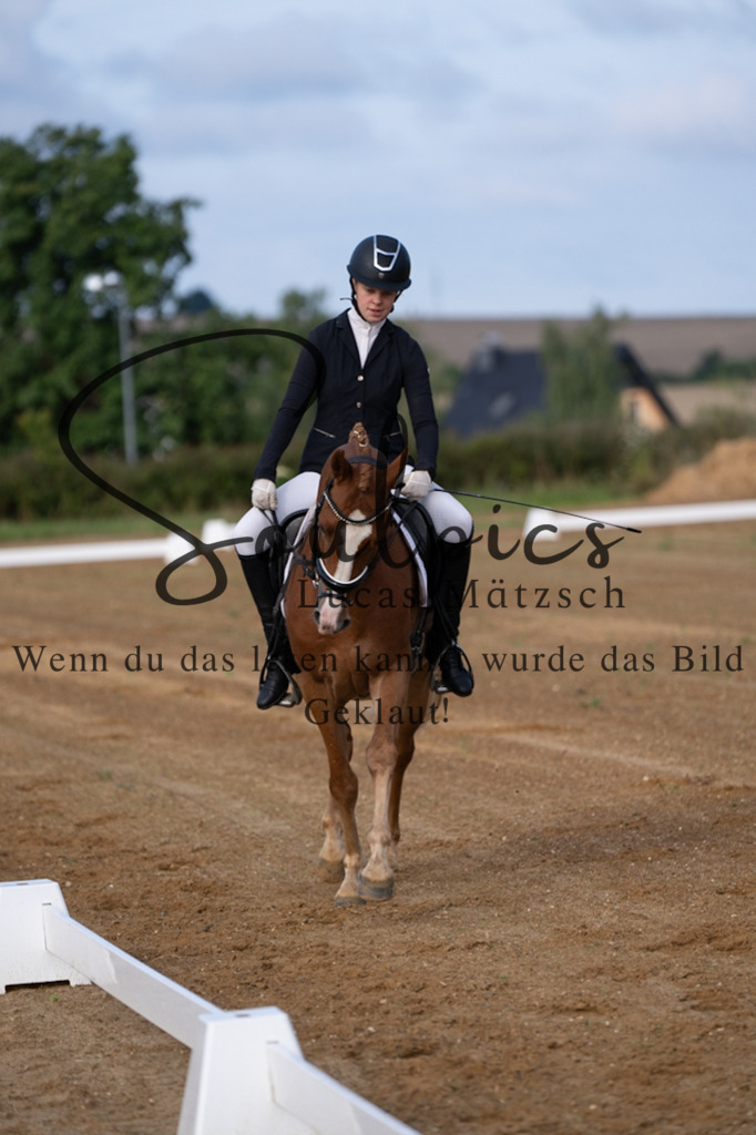 A7V03658 | Turnier/Reitfotograf