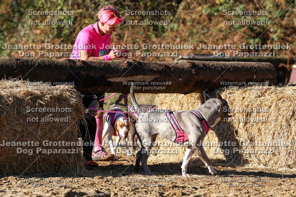 Dog Paparazzi - Strongdog 10-25-1949 | Dog Paparazzi Jeanette Grottendiek Fotografie & Videografie - Realisiert mit Pictrs.com