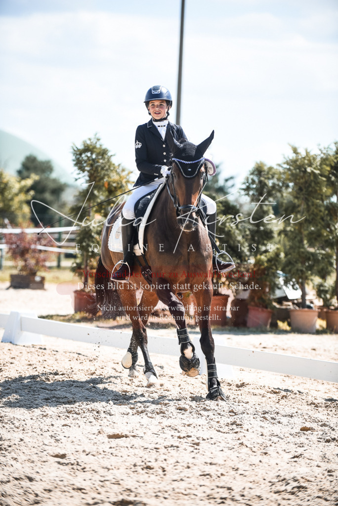 DSC_8798 | Pferde- und Turnierfotografie in Westsachsen. Pferdeportraits, Auftragszeichnungen und intuitive Kunst.