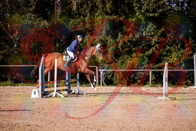 2026_10_03_Siefer-Hof_160653_Z81_88742940 | Professionelle Reitsport-, Turnier- und Eventfotografie von Robert Broda. Galerien mit ausgewählten und bearbeiteten Bildern direkt online ansehen und bestellen.