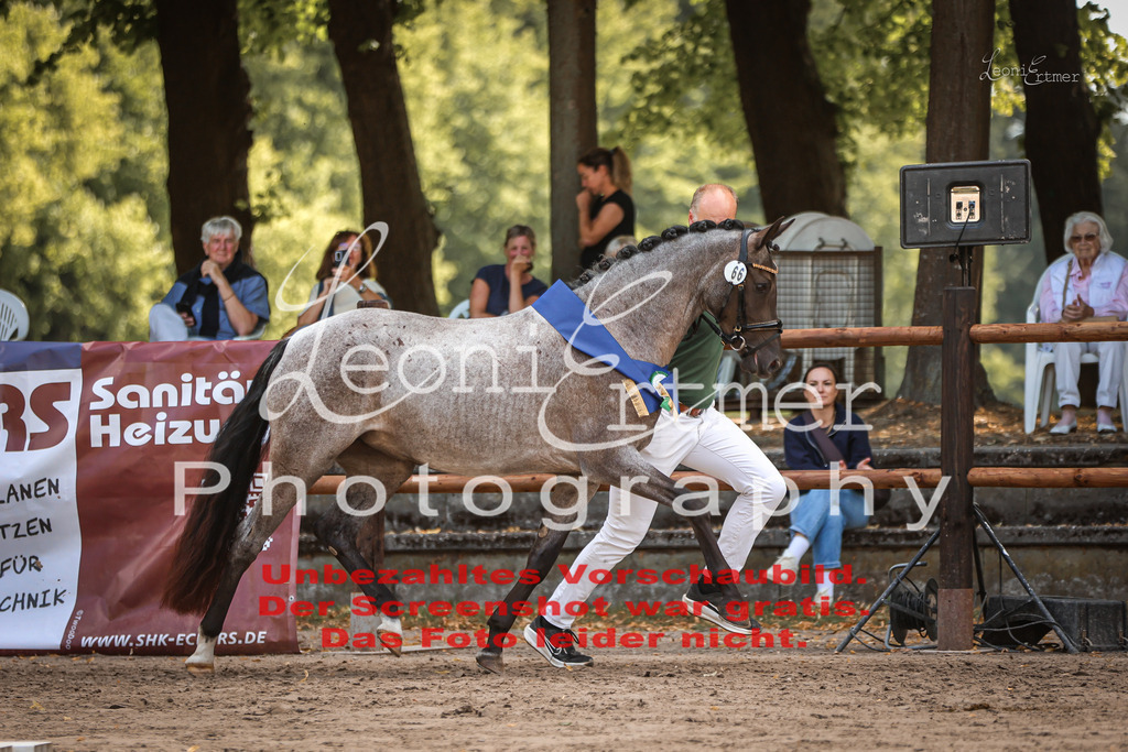 SoER00071 | Leoni Ertmer Photography - Realisiert mit Pictrs.com