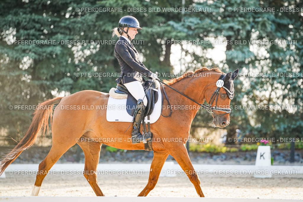 DSC08020 | Pferdegrafie