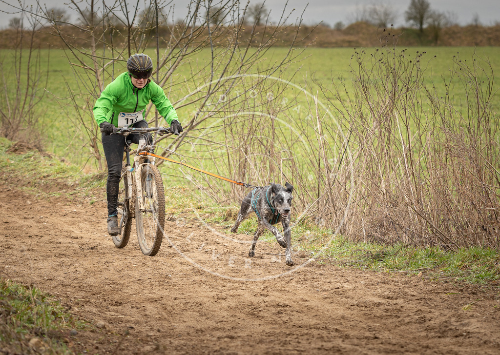 DV3A0826 | Hundefotografie, Tierfotograf, Pfotenfotografie, Fotoshooting Hund, Hunde Portrait, Hundesport, Hundeportraits, Heideshooting, Hunde, Sportfotograf, Hundefotograf, Turnierhundsport, THS,  - Realisiert mit Pictrs.com