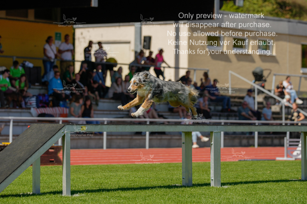 Sonntag_VK Hindernis (96 von 671) | stephaniefillaphotographie - Realisiert mit Pictrs.com