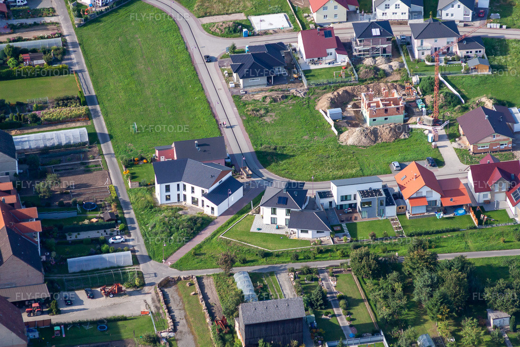 Luftbild: Im Tabakfeld in Hatzenbühl im Bundesland Rheinland-Pfalz in Deutschland. Foto: IMG_71030.jpg vom 27.08.2014 durch Werner Riehm/FLY-FOTO.de