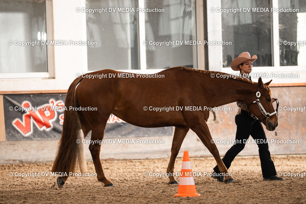 Heiligenwald Tag 2-338 | dv-media-shop - Realisiert mit Pictrs.com