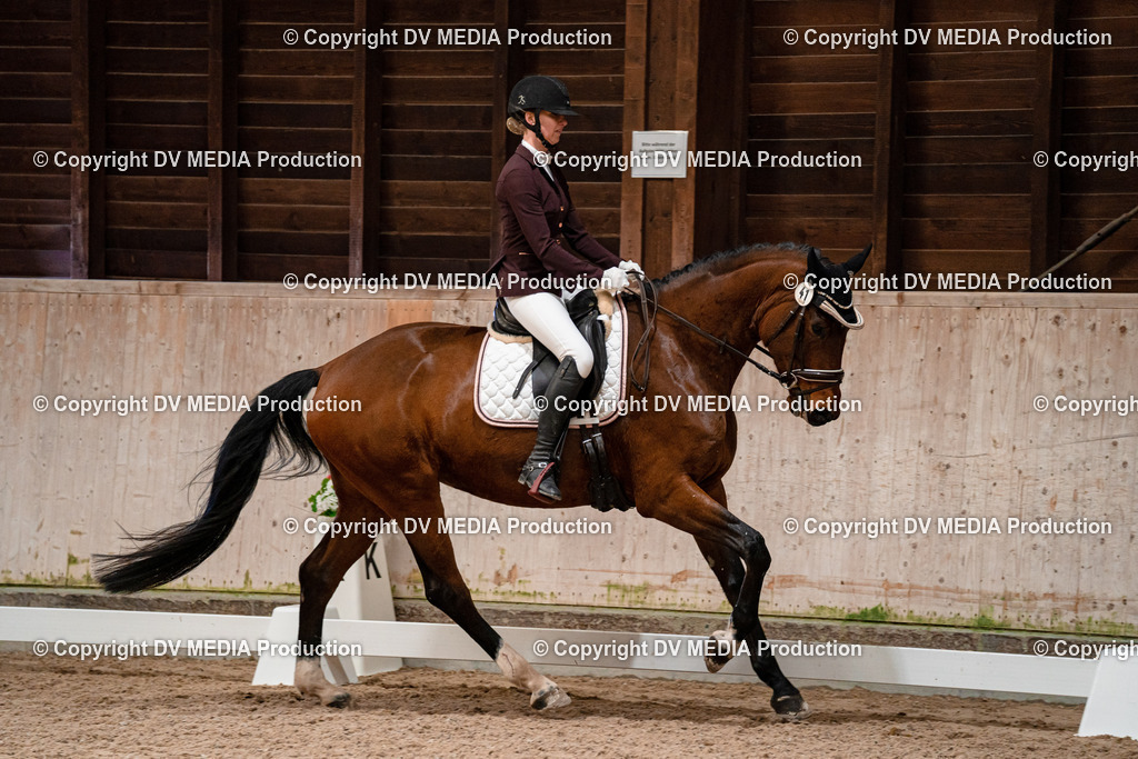 Dressur Tag 1 -111 | dv-media-shop - Realisiert mit Pictrs.com