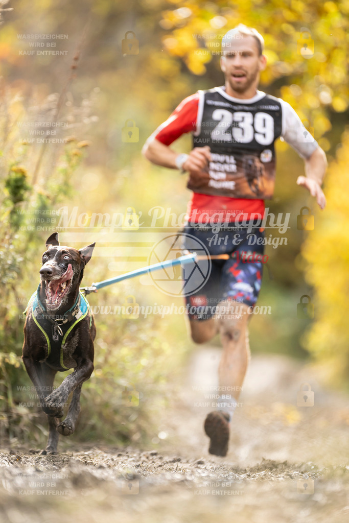 MompixPhotography_ICF_WC_2024_SA_Run_-22 | PayLife