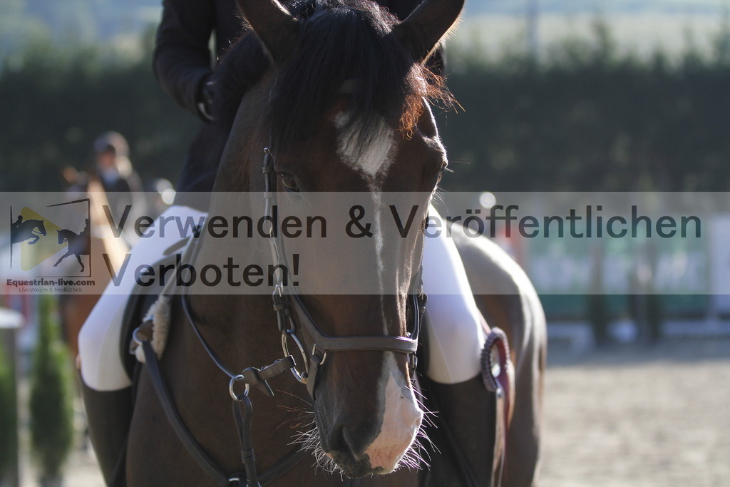 _MG_1221 | equestrian-live-com