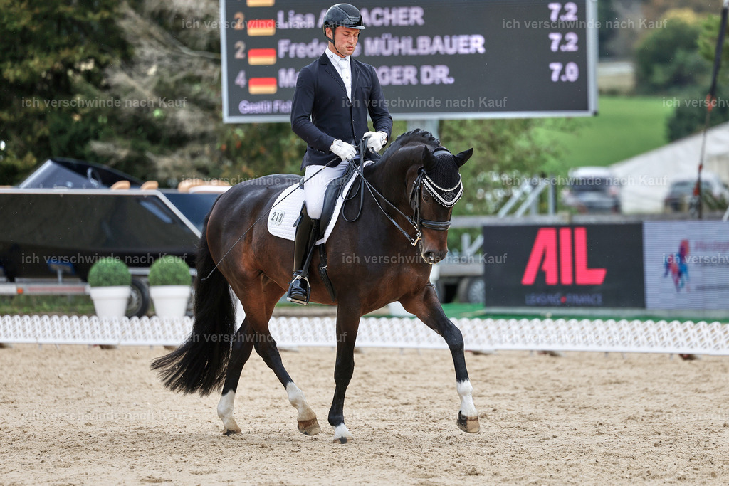 3-213-Dressur M_-StoibPH-2488 | working equitationturnier fotograf videograf stoibphotography marixx film working equitation deutschland reitsport turnierfotografie eventfotografie equestrian events