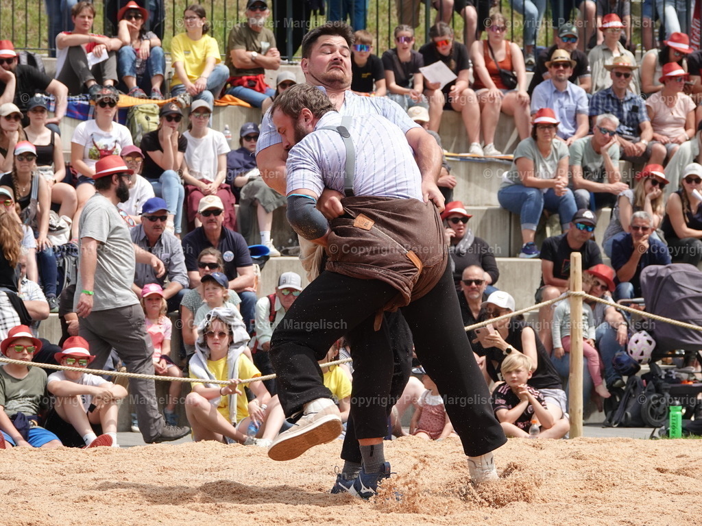 DSC07449 | Schwingen - Realisiert mit Pictrs.com