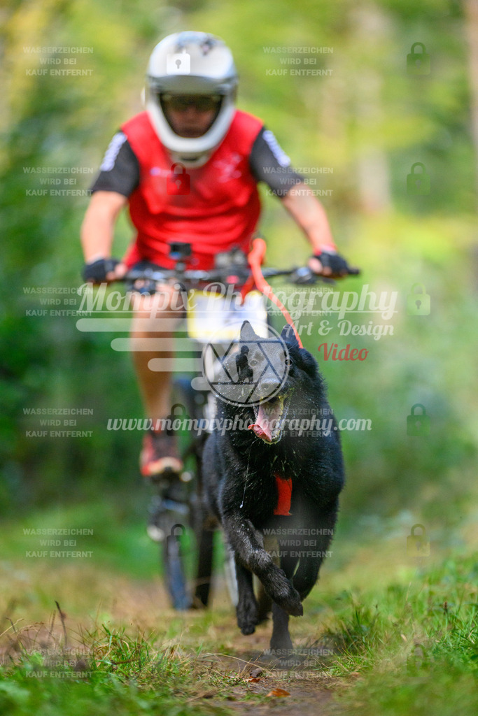 MompixPhotography_Yens2025_B1-10 | PayLife