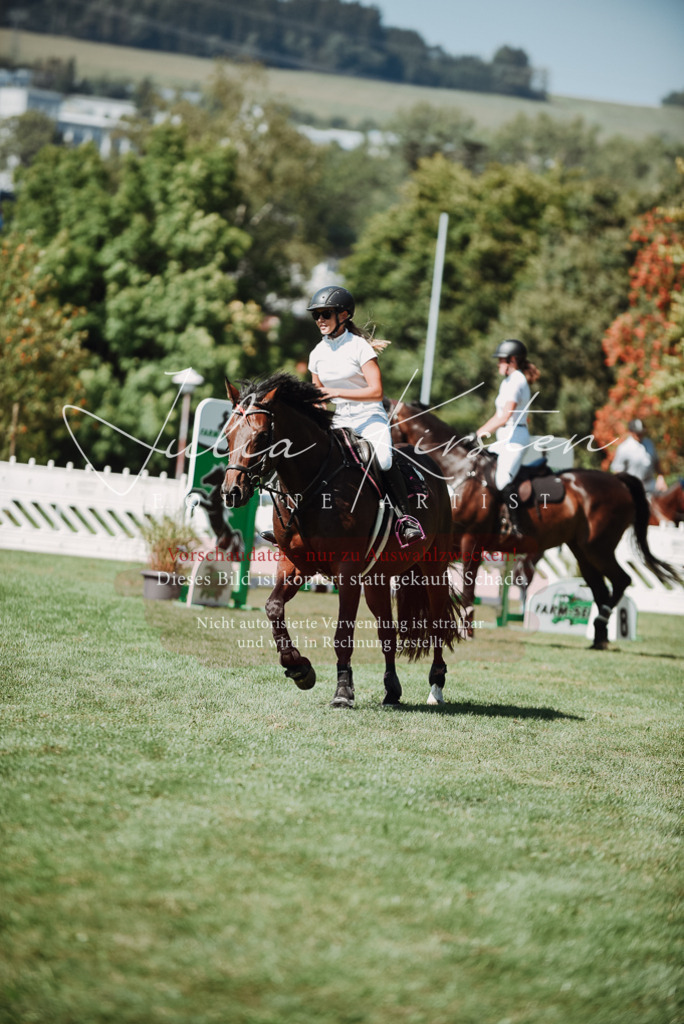 DSC_3226 | Pferde- und Turnierfotografie in Westsachsen. Pferdeportraits, Auftragszeichnungen und intuitive Kunst.