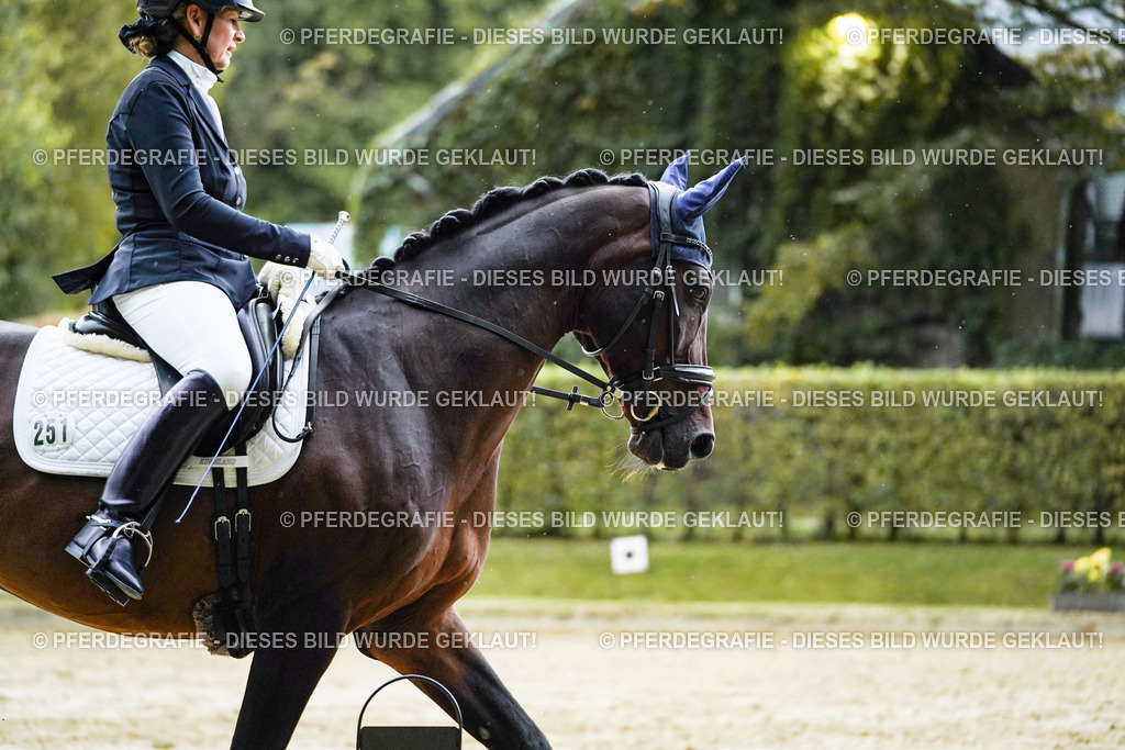 DSC00069 | Pferdegrafie