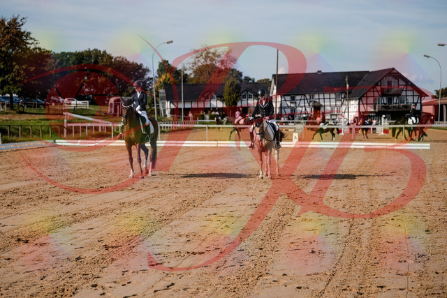 2026_10_03_Siefer-Hof_115200_Z63_29605216 | Professionelle Reitsport-, Turnier- und Eventfotografie von Robert Broda. Galerien mit ausgewählten und bearbeiteten Bildern direkt online ansehen und bestellen.