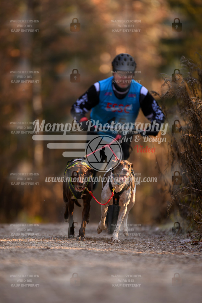 MompixPhotography_DM_AKDM_SO_2025_Scooter-34 | PayLife